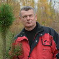 Отзыв от Василий - DTV виза