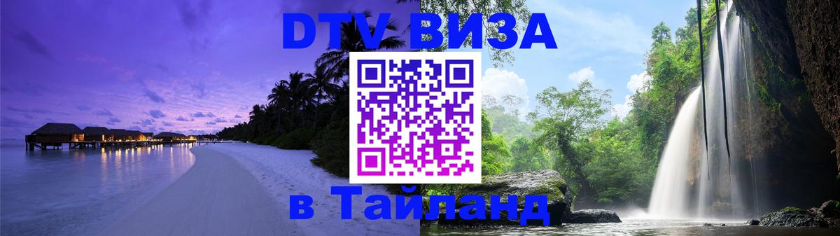 Оформление DTV визы под ключ: стоимость и тарифы, только загранпаспорт - 